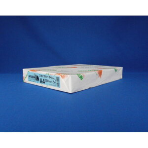 kzIB NEWt@CJ[ A4 500 XJCu[