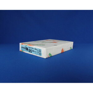 kzIB NEWt@CJ[ B5 500 XJCu[