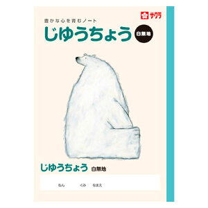 TNNpX wK 䂤傤 NP80