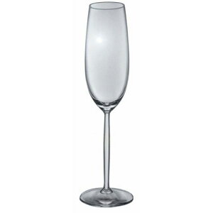 VbgEcB[[ SCHOTT ZWIESEL fB[@ Vp 6rZbg