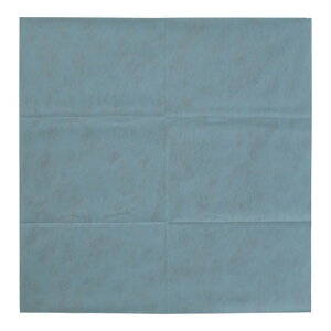 A[gibv e[uNX IrA 100cmp 50 N[u[