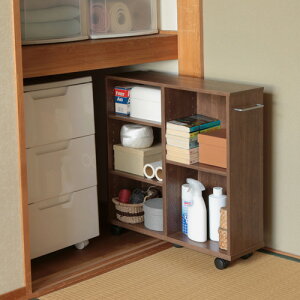 ACXI[} [J[g 60cm LX^[t uE SYR-6020