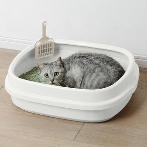 ACXI[} lR̃gC zCg NE-550