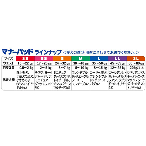 正規店 第一衛材 マナーパッド Active BP Ｌ １６８枚 Ｌ２８枚×６個セット 日本製 生理用 おでかけグッズ おさんぽ用品