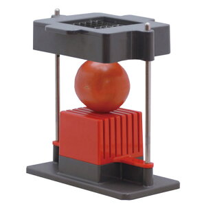 tHƏ g}gXCT[ g}g TMS80-10