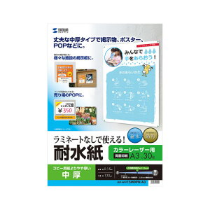 TTvC J[[U[p ϐ  A3TCY 30 LBP-WPF15MDPN-A3