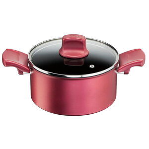T-fal eBt@[ IH[W A~ebh V`[ |bg 20cm G26244