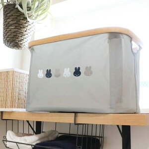 IJg[ miffy ~btB[ ou[oXPbgS Ȃу~btB[