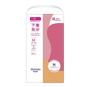 剤 Aeg ^pc C M 24 GKgsNׁ[W