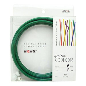 �f�U�C�����C���[ ���V���� wire COLOR �J�N�^�X 6��×2m