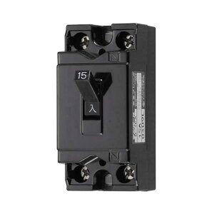 I[d@ Su[J[ 15A110V HS-B1EA15-G