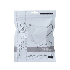  SAI ̃}XN 10 zCg×O[ 傫
