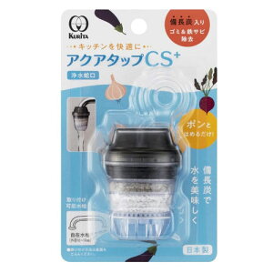 N^bN ANA^bvCS+ CQCS-2100