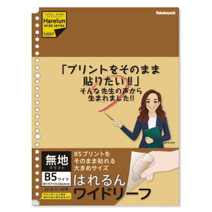 iJoV WJE͂񃏃Ch[t B5Ch/nNtg/40 LL-B507W-KR