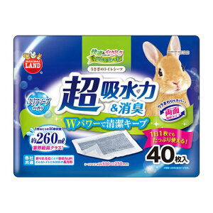 �}���J�� �������̃g�C���V�[�c 40��