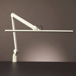 RcƖ ZCg LEDfXNCg zCg Z-S5000N W