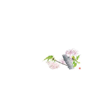 J~C\Y 3 e[u}bg 100 ̉ No.520