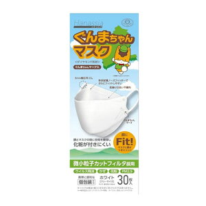 Hanassia ハナッシア 3D-MASK 30枚入り ぐんまちゃん AW MASK GUNMA-CHAN