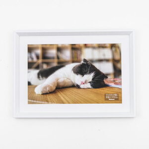 iJoV ؐʐ^z ChZbؔ zCg F-SW-120-W