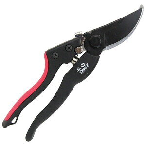 OXt@Co[ ChObv SGFP-5