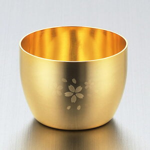 함   18-8XeX ߂d ۂ SK-001