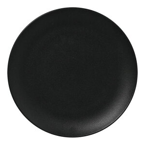 �l�I�t���[�W���� �t���b�g�v���[�g SB 29cm RA29001NFSB