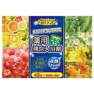 CIP~J oXtpA܃t[c&t[ 48