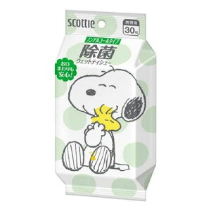 �N���V�A �X�R�b�e�B �E�F�b�g�e�B�b�V�� ���� �m���A���R�[���^�C�v �X�k�[�s�[ 30����