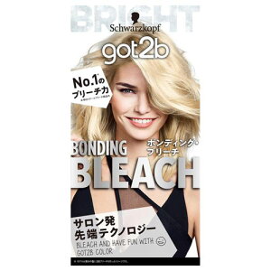 �w���P���W���p�� got2b �{���f�B���O�E�u���[�`
