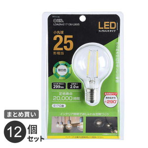 �܂Ƃߔ��� �I�[���d�@ LED�t�B�������g�d�� ���ۋ� E17 25�`���� �����F LDA2N-E17 C6/LBG5 12�Z�b�g