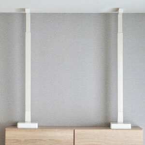 �A�C���X�I�[���} �Ƌ�]�|�h�~�ϐk�o�[L KTTB-L �z���C�g