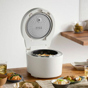 �A�C���X�I�[���} IH�W���[���ъ� 3�� RC-ISA30-W �z���C�g