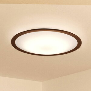 �A�C���X�I�[���} LED�V�[�����O���C�g 12�� �������F �E�b�h�t���[�� CEA12DL-5.0QWFM