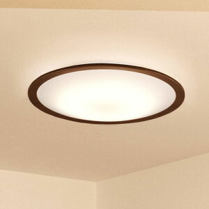 �A�C���X�I�[���} LED�V�[�����O���C�g 14�� �������F �E�b�h�t���[�� CEA14DL-5.0QWFM