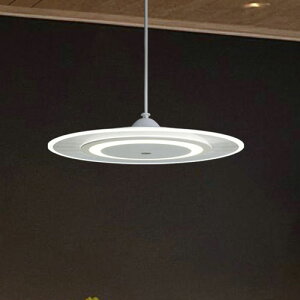 �A�C���X�I�[���} LED�y���_���g �p�l�����C�g ���� 6�� �����F PLP6D-WW