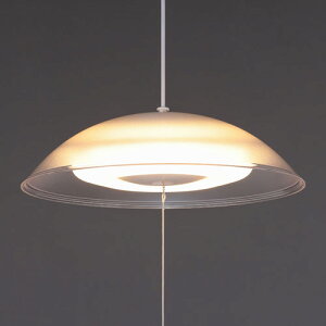 �A�C���X�I�[���} �m��LED�y���_���g���C�g �������F 8�� PL8DL-YA2