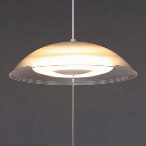 �A�C���X�I�[���} �m��LED�y���_���g���C�g �������F 12�� PL12DL-YA2