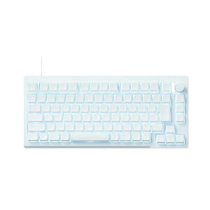 PRINCETON �v�����X�g�� CNC�t���A���~�P�[�X 75% ���C���ړ_�X�C�b�`���� SOCD �L�[�{�[�h �z���C�g UP-MKGA75MTLC-RT-J/W