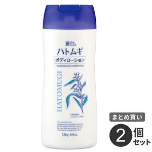 ܂Ƃߔ F 픒 ngM{fB[V 250g 2