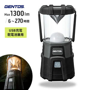 �W�F���g�X GENTOS Explorer�V���[�Y LED�����^�� EX-300H