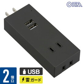 オーム電機 USBポート付電源タップ 雷ガード 2個口/2USB 黒 HS-TU2SM-K
