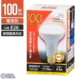 �I�[���d�@ LED�d�� ���t�����v�` 100W�`���� E26 �d���F �����Ή� LDR10L-W A9