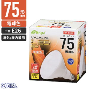 �I�[���d�@ LED�d�� �r�[�������v�` E26 75�`���� 6.7W �d���F �U���` �����E���O���p E-Bright LDR7L-W20/75W