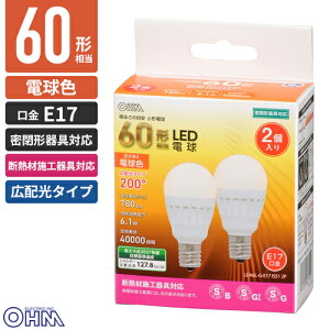 �I�[���d�@ LED�d�� ���^�d�� �~�j�N���v�g���` E17 60�`���� �d���F 2�� LDA6L-G-E17 IS51