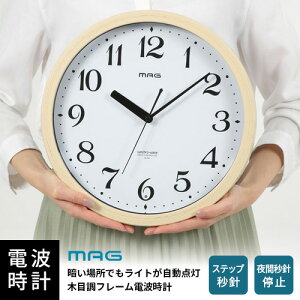 mA MAG dg_|v  g W-791 N-Z