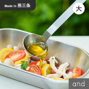 VJ and XeX傳Xv[ AN0209 vʃXv[ {