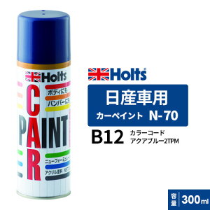 Holts �z���c �J�[�y�C���g N-70 ���Y�ԗp �A�N�A�u���[2TPM 300ml �J���[�R�[�h:B12 MH13070