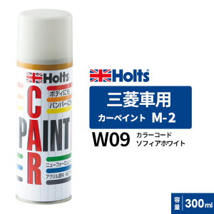 Holts �z���c �J�[�y�C���g M-2 �O�H�ԗp �\�t�B�A�z���C�g 300ml MH14502