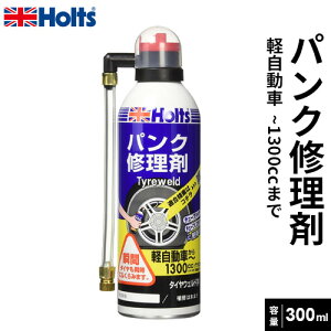 Holts zc ^CEFh pNC  300ml MH762