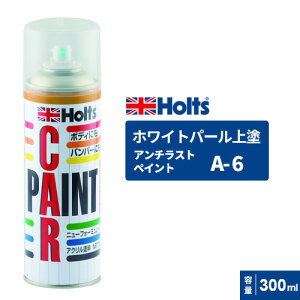 Holts �z���c �J�[�y�C���g A-6 �z���C�g�p�[����h�� 300ml MH11606